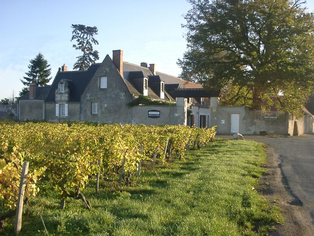 Au Clos De L'Epinay 부브래 외부 사진