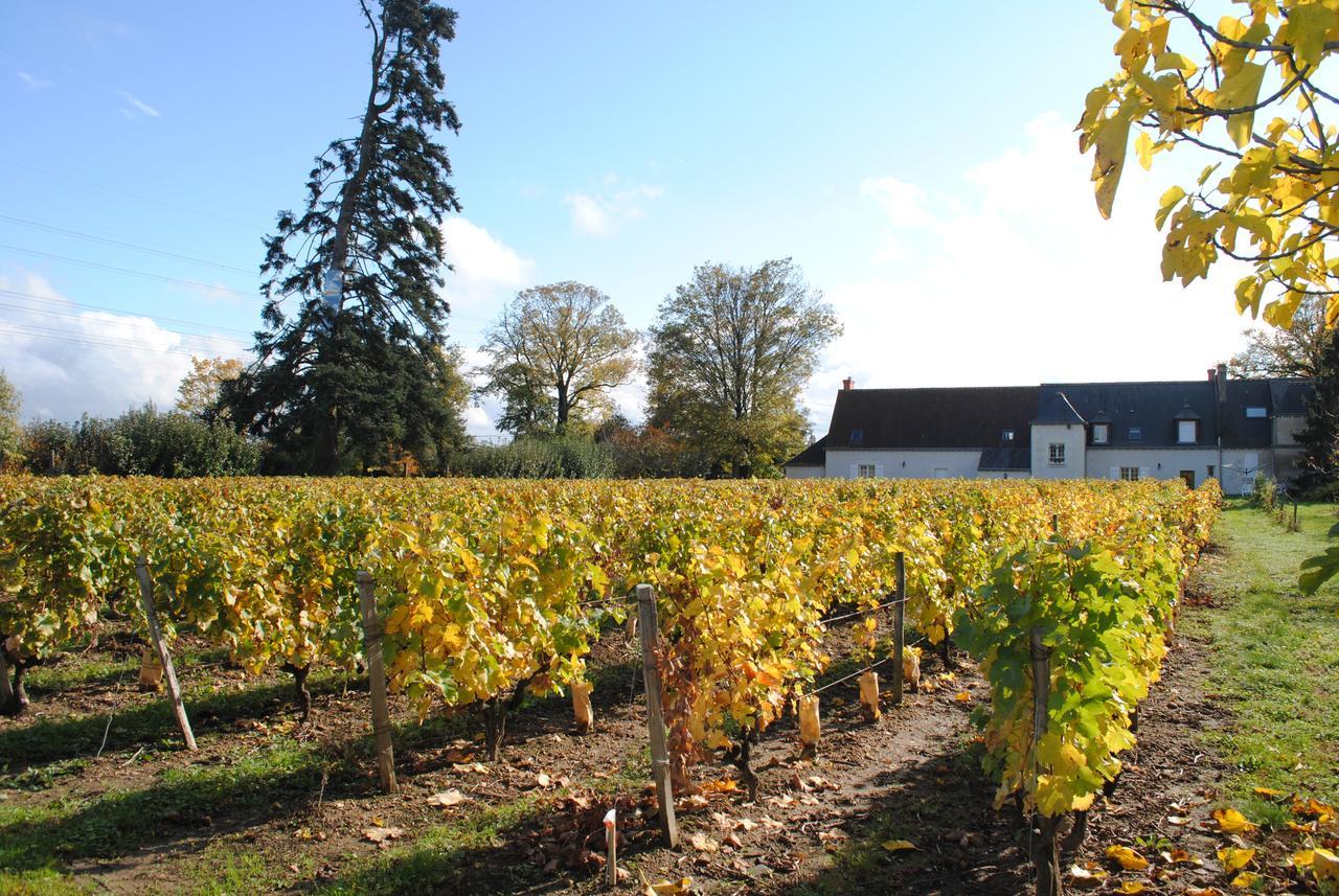 Au Clos De L'Epinay 부브래 외부 사진