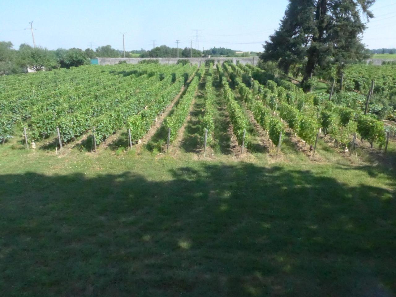 Au Clos De L'Epinay 부브래 외부 사진